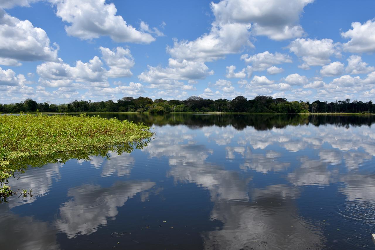 Yaku Amazon Lodge & Expeditions Paraíso Eksteriør bilde